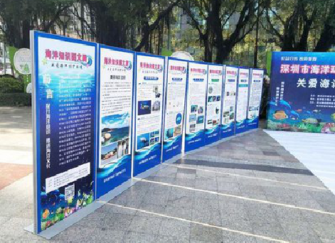 城步KT板的种类和知识。